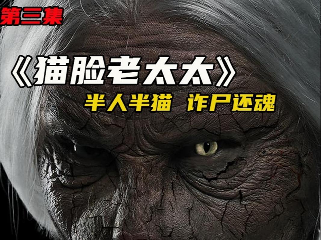 东北猫脸老太灵异事件？猫脸老太东北恐怖故事？  第5张