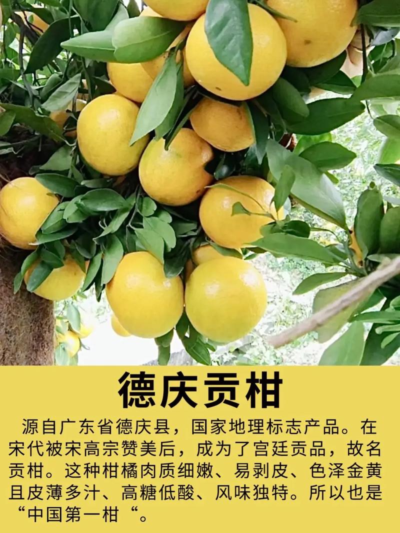 广东美食特产介绍，广东的美食特产？  第3张