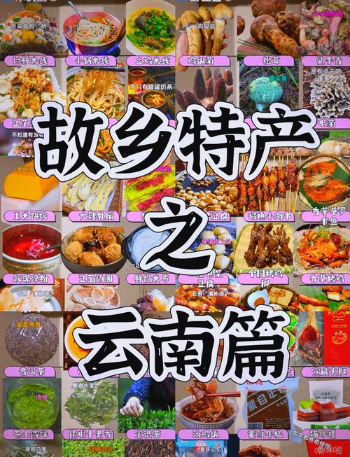 云南特色美食及特产介绍？云南前十特产美食介绍？  第5张