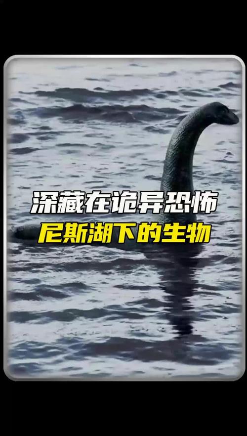尼斯湖水怪真相大揭秘，尼斯湖水怪的真相是什么  第2张