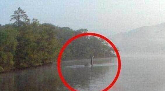 尼斯湖水怪真相大揭秘，尼斯湖水怪的真相是什么  第4张