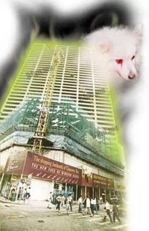 香港温莎大厦狐仙事件是真的吗，香港温莎大厦狐狸头？  第1张