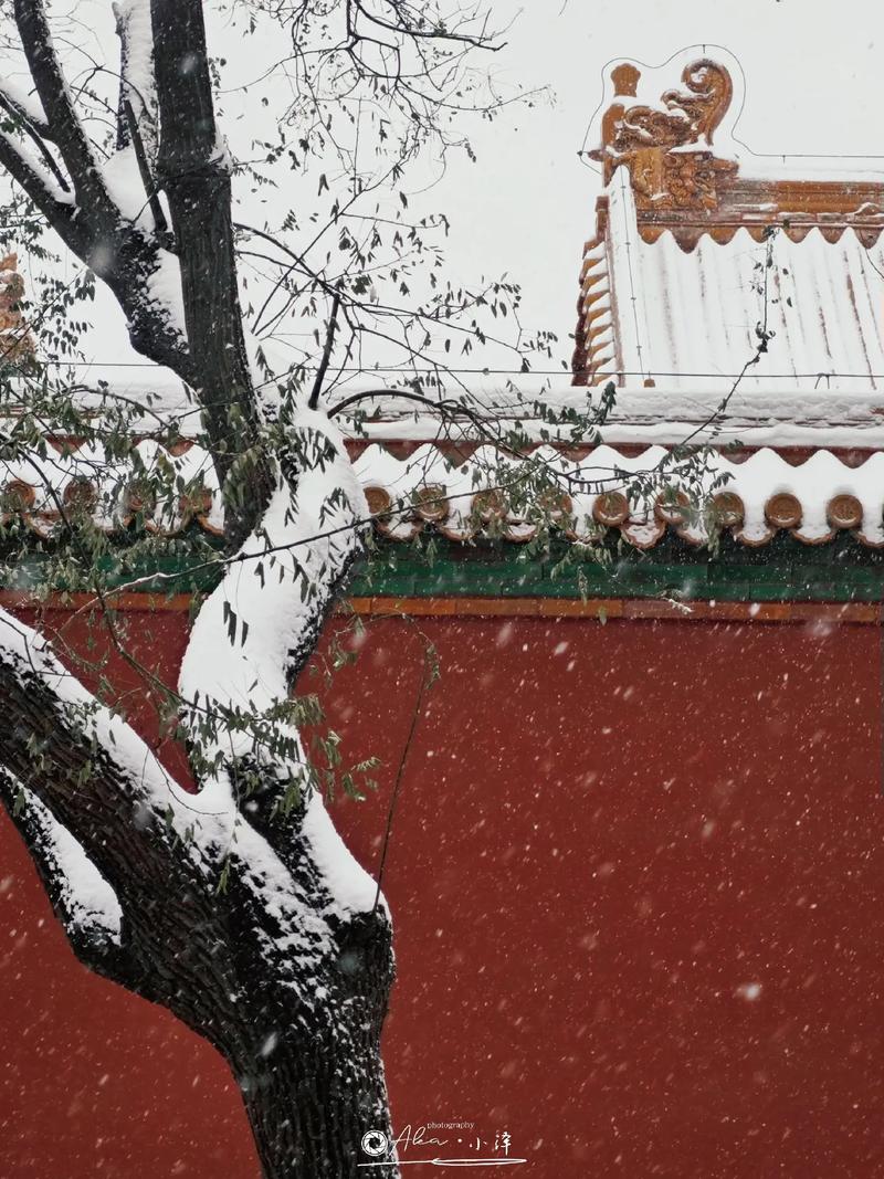 北京未来二十天天气，北京2o天天气预报  第1张