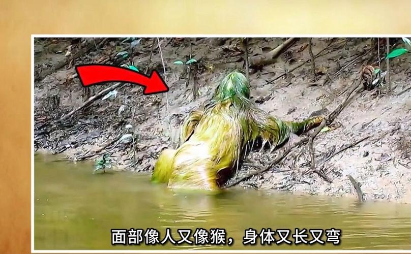 世界上有水猴子图片？世界上有水猴子吗图片？  第1张