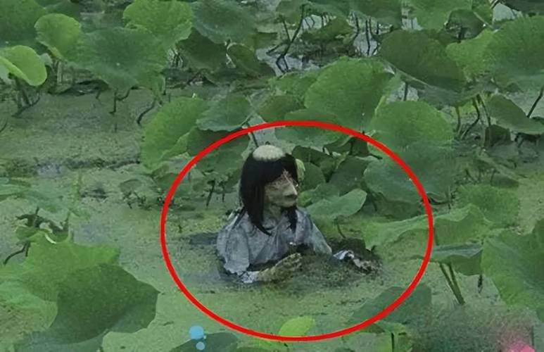 世界上有水猴子图片？世界上有水猴子吗图片？  第2张