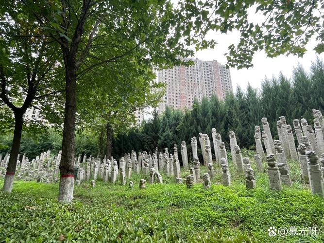 大雁塔灵异事件？大雁塔地下宫灵异事件？  第3张