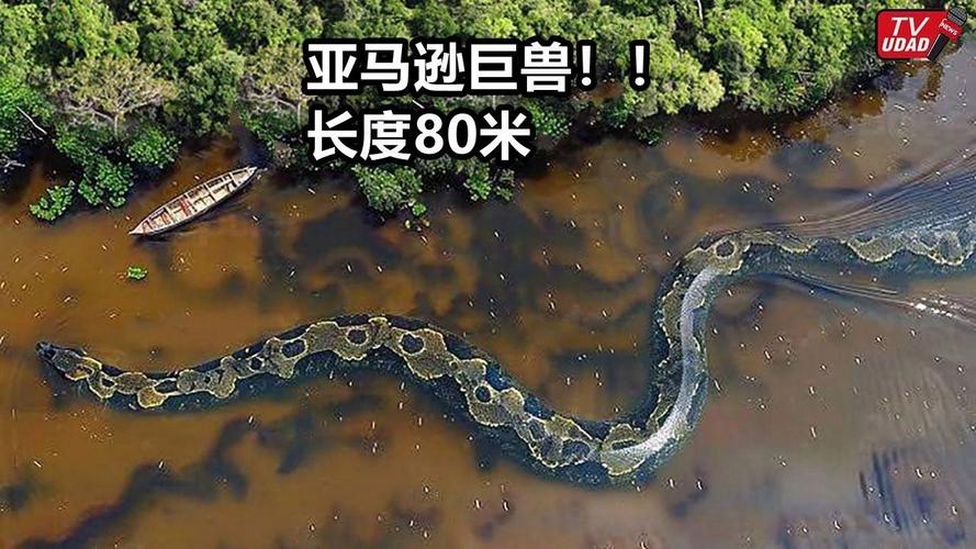 巨蛇图片绘画？播放巨蛇蛇的图片？  第1张