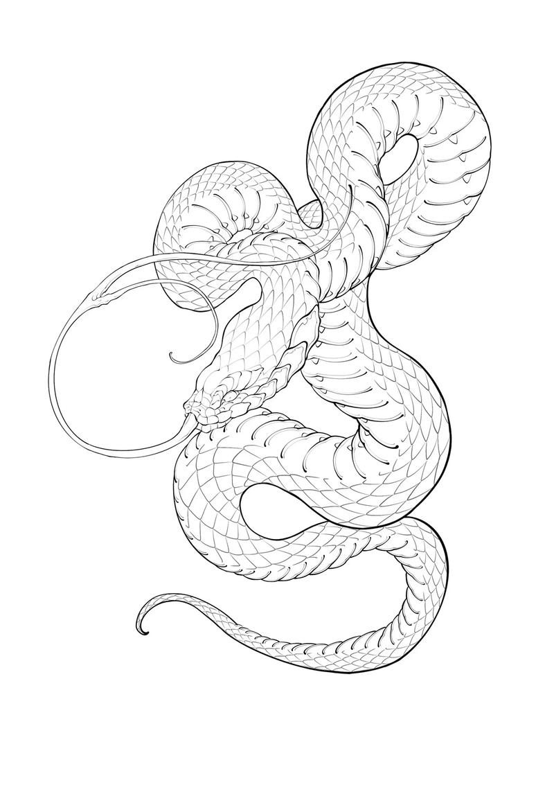 巨蛇图片绘画？播放巨蛇蛇的图片？  第5张