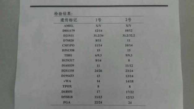 彭加木dna鉴定结果，彭加木2013年被找到  第2张