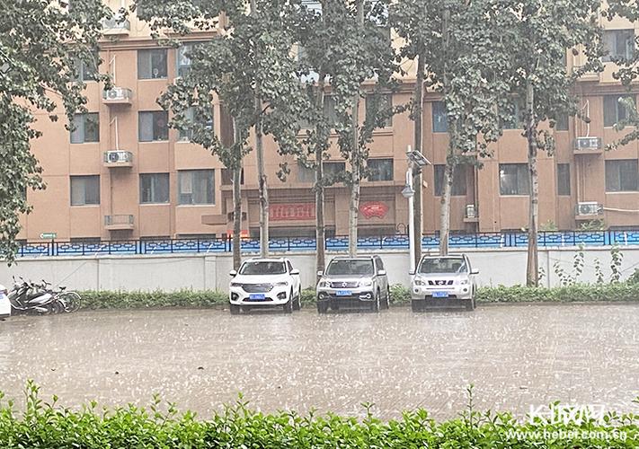 衡水市枣强天气预报？枣强县天气预？  第1张