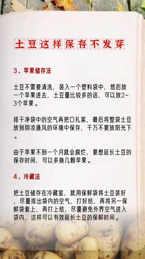 特产美食洋葱做法简单，洋葱的做法吃法？  第6张