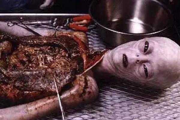 ufo事件真实外星人真实事件，ufo实拍外星人？  第3张