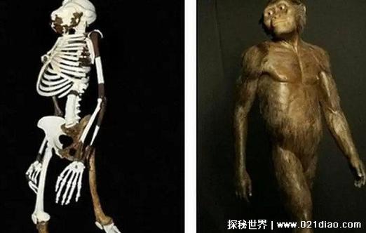 地球上第一个人是谁？地球上第一个人是谁视频？  第2张