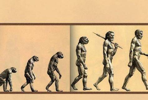 地球上第一个人是谁？地球上第一个人是谁视频？  第4张