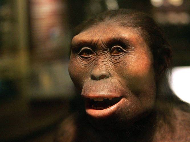 地球上第一个人是谁？地球上第一个人是谁视频？  第5张