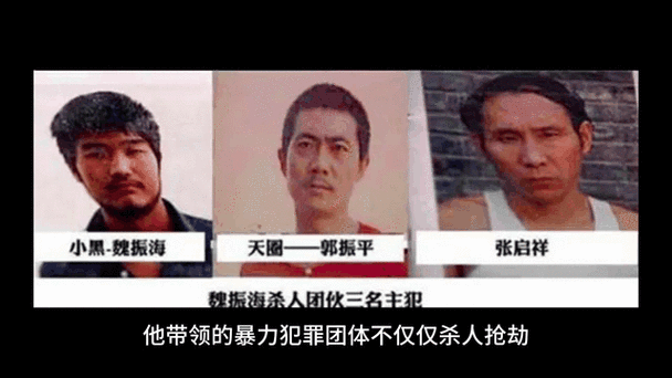 中国前十悍匪照片大全，中国前十悍匪百度百科？  第5张