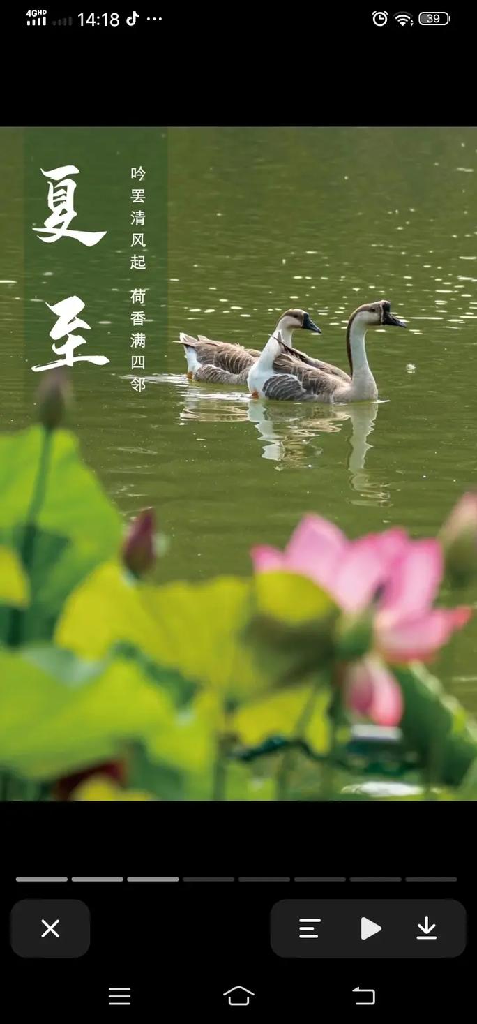 北碚区柳荫天气预报？北碚柳荫有什么好玩的地方？  第3张