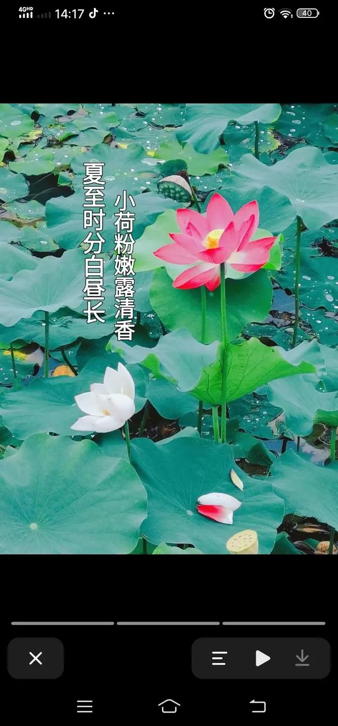 北碚区柳荫天气预报？北碚柳荫有什么好玩的地方？  第5张
