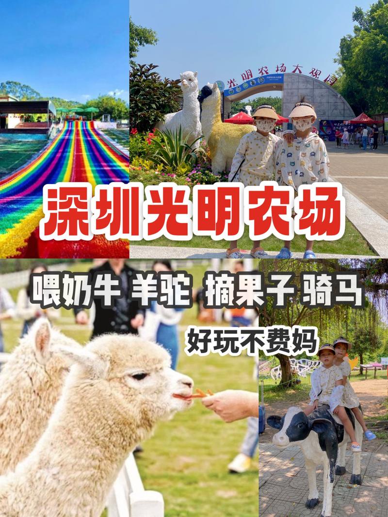 深圳市公明天气预报，深圳市公明天气预报查询  第3张