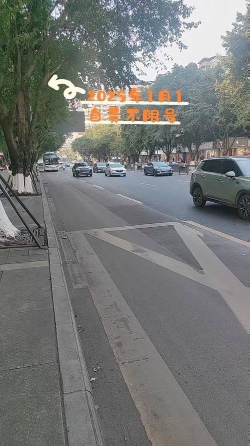 重庆限号上桥了怎么办，重庆限号上桥了怎么办啊？  第3张