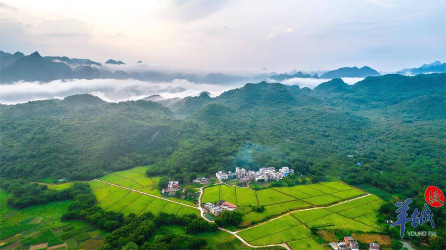 阳山天气预报一个月，阳山天气15天预报？  第1张
