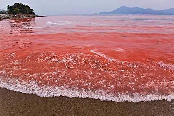 最咸的湖泊死海？最咸的海不是死海吗？  第1张