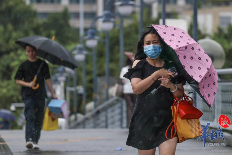 广东花都天气30天，广东省广州市花都天气预报？  第3张