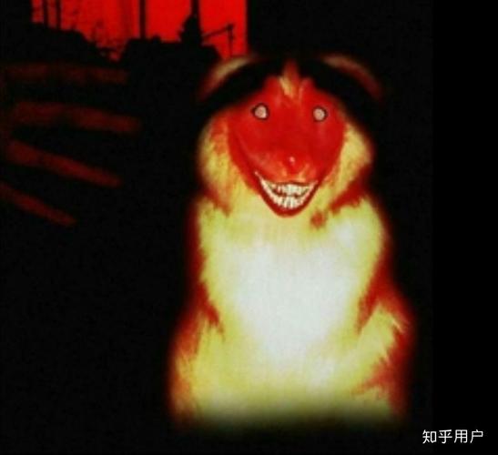 恐怖微笑狗图片吓人，恐怖微笑狗搞笑图片？  第6张