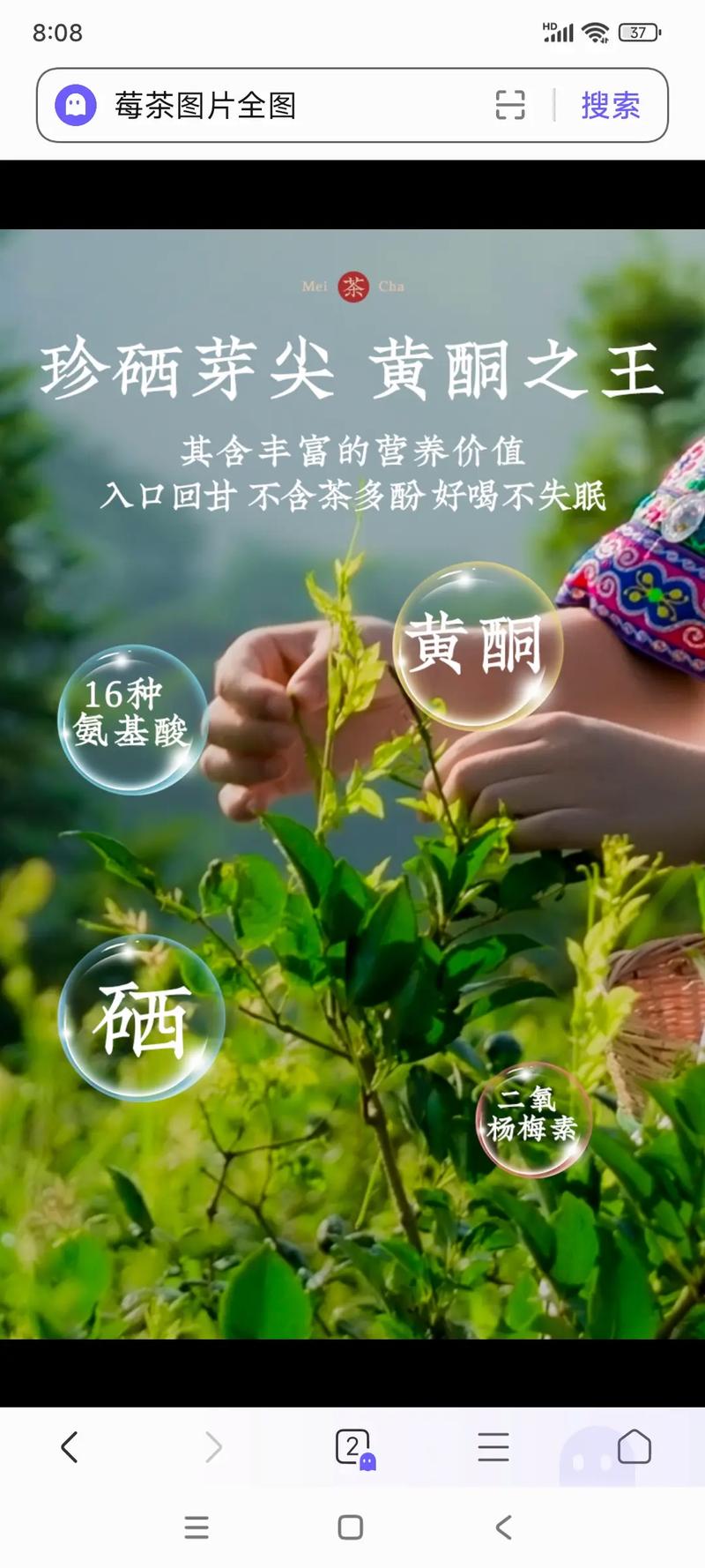 永定区天气预报更新，下载永定区天气预报？  第1张