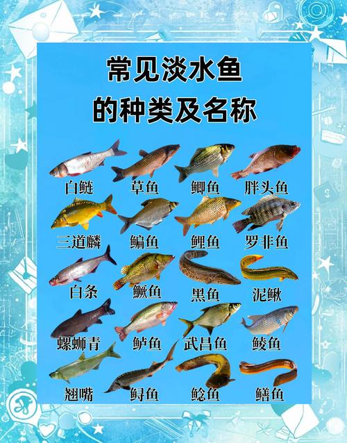 世界上最大的鱼多少斤，世界上最大的鱼体重是多少  第1张