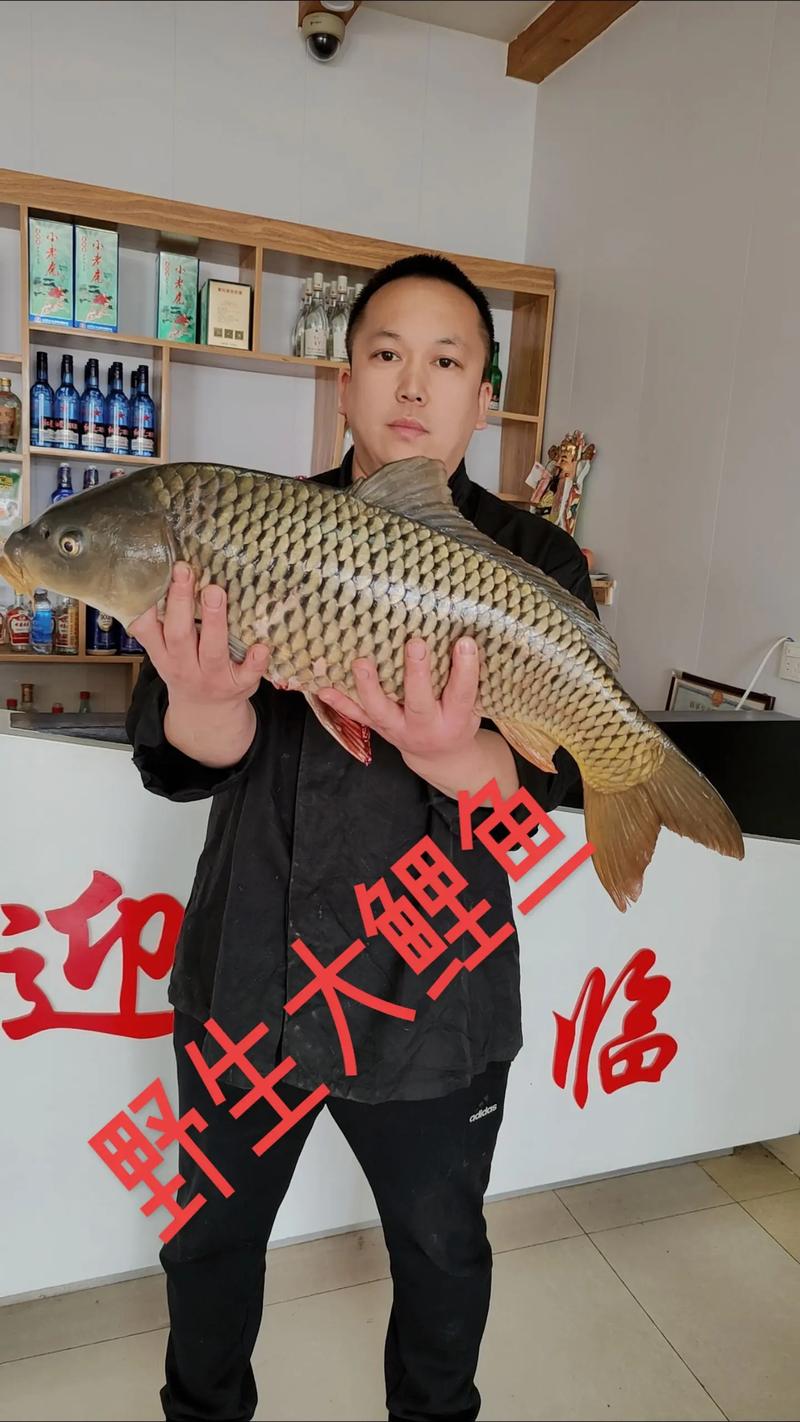 世界上最大的鱼多少斤，世界上最大的鱼体重是多少  第4张