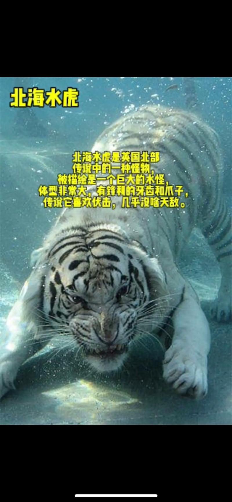 世界前十海怪未解之谜，世界前十恐怖海怪传说？  第6张