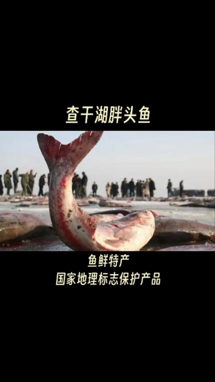 吉林都有哪些地方美食特产，吉林有啥吃的特产  第5张