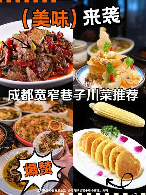 成都宽窄巷子美食攻略？成都宽窄巷子景点介绍视频？  第3张