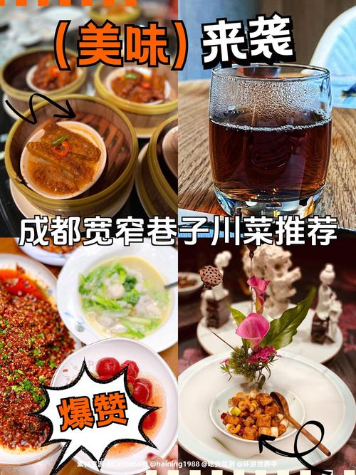 成都宽窄巷子美食攻略？成都宽窄巷子景点介绍视频？  第6张