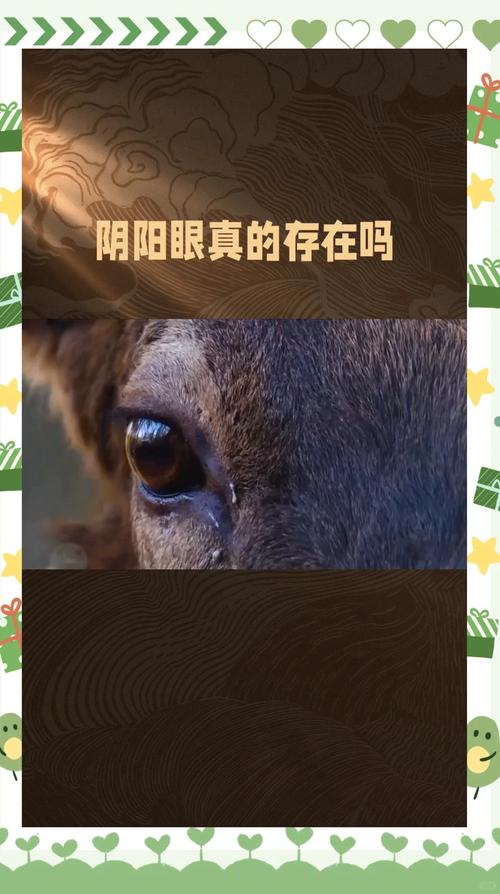 所谓的阴阳眼是真的吗？阴阳眼的真实性？  第3张