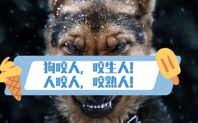 昨天安阳发生的大事，安阳昨天发生的事件？  第4张