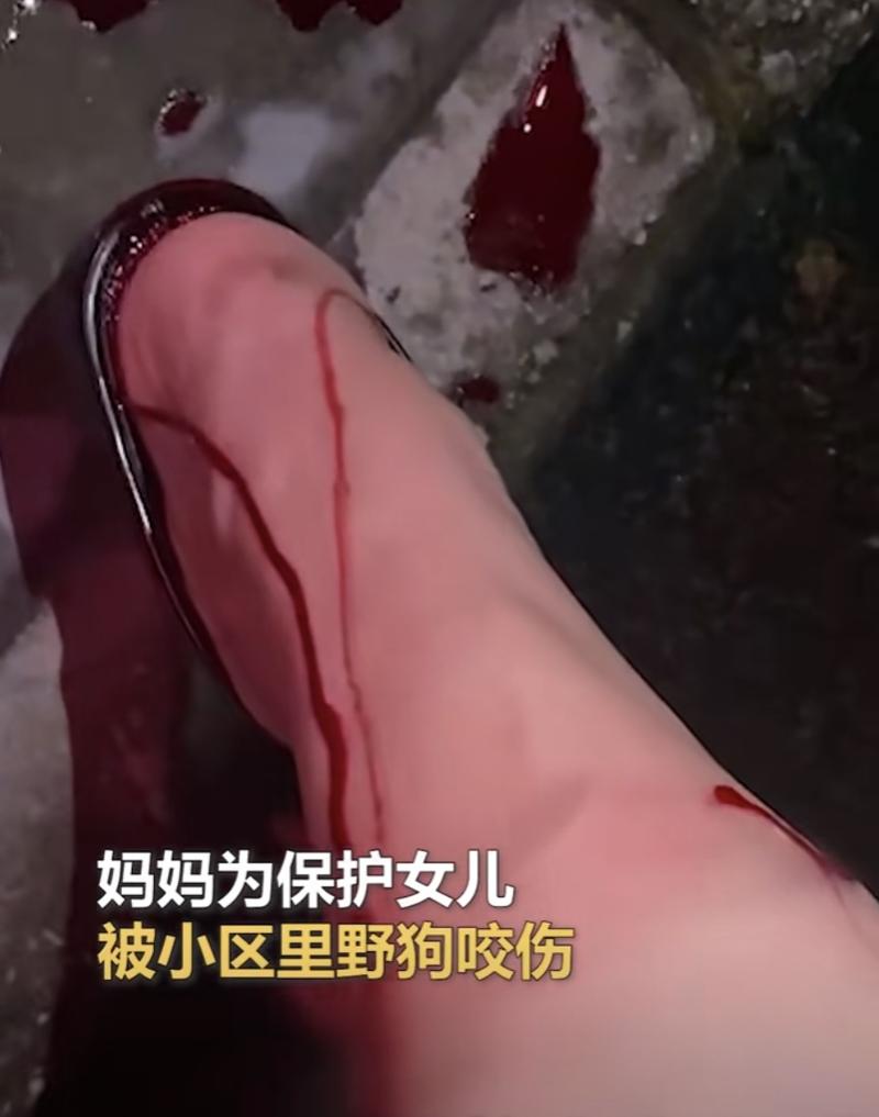昨天安阳发生的大事，安阳昨天发生的事件？  第5张