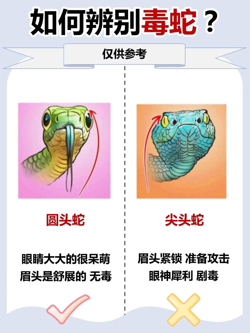 蛇最怕什么东西，蛇最怕什么东西,植物和药  第2张