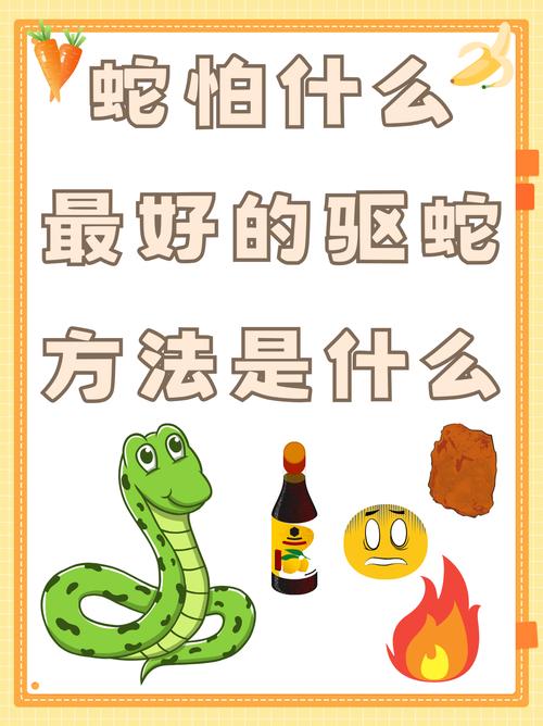 蛇最怕什么东西，蛇最怕什么东西,植物和药  第5张