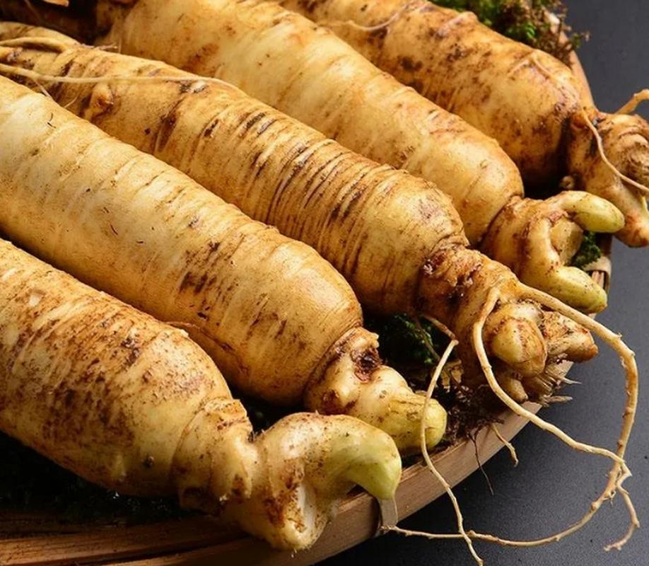 公众号简介东北特产美食？东北公众号都有哪些？  第1张