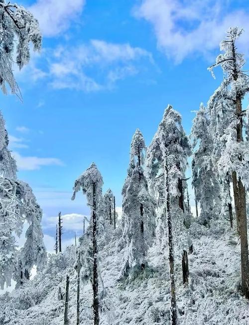 宜章一个月天气预报，宜章天气情况？  第3张