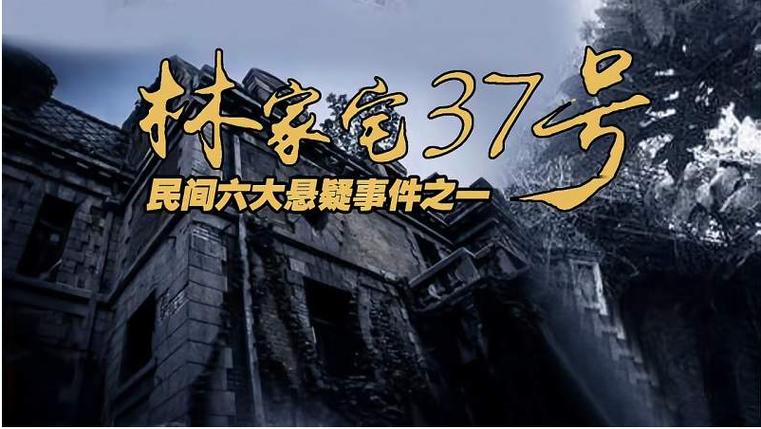 林家宅37号事件是小说吗，林家宅37号事件是真的吗天涯？  第4张