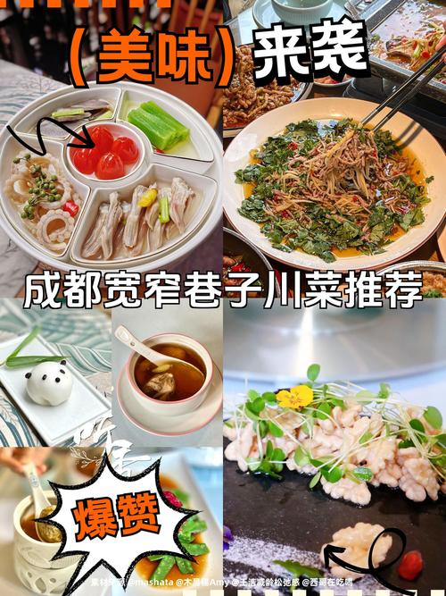 成都宽窄巷子特色美食，关于成都宽窄巷子的美食介绍？  第2张