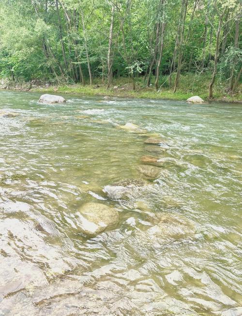 河南灵宝的天气怎样，河南灵宝每小时天气预报？  第3张