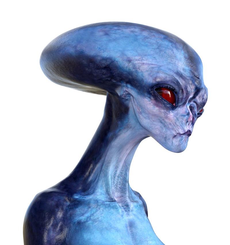 乌克兰出现大量ufo，乌克兰失事飞机？  第4张