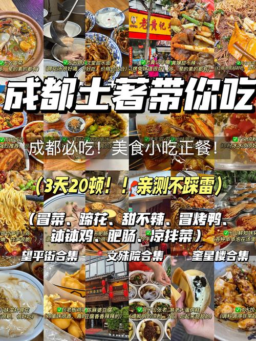 成都美食攻略那个，成都美食攻略前十名？  第2张