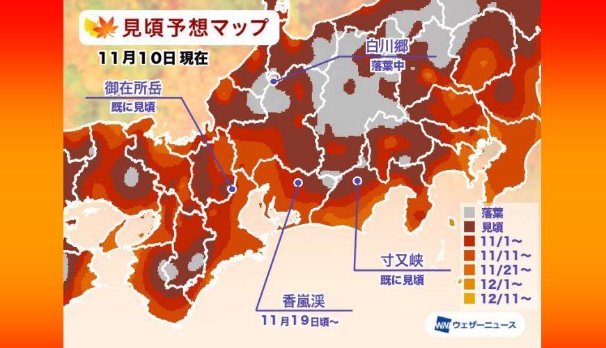 日本东京天气热不热，东京天气热吗？  第1张