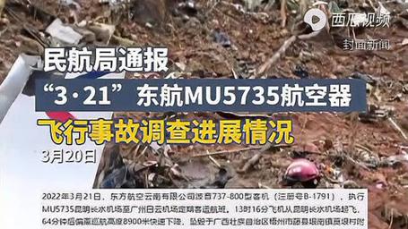 东航副驾驶最后喊了一句什么，东航黑色蝴蝶结女孩的故事？  第6张