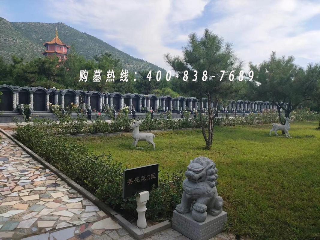 封门村的人死完了吗，封门村的人死完了吗视频？  第4张